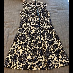 Dress Barn Fit and Flare Dress